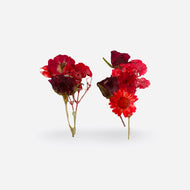 Wildflower Drop 2-18