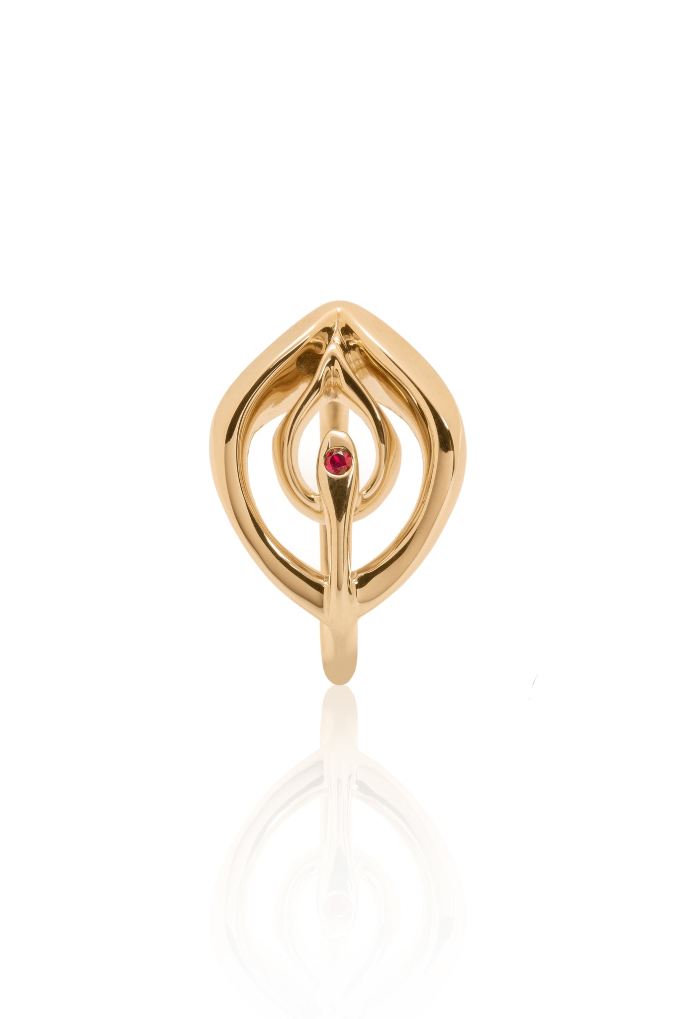 Clitoris rings clearance